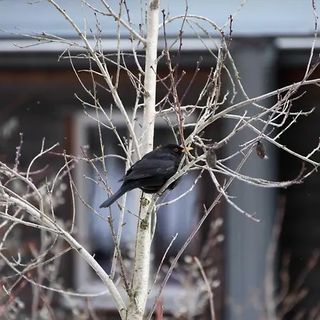 Ferienhaus Caputh بيت للعطل كابيوث