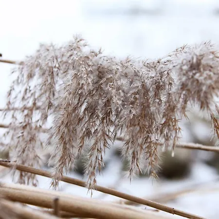 بيت للعطل Ferienhaus Caputh *