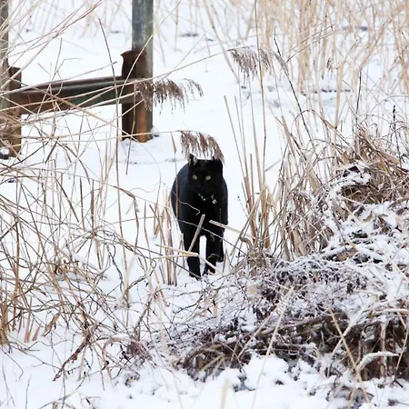 Σπίτι διακοπών Ferienhaus Caputh Caputh