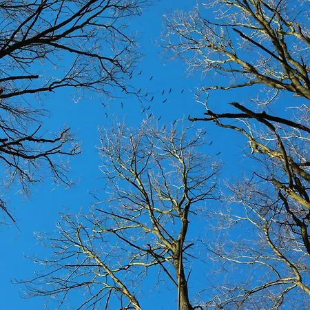 بيت للعطل Ferienhaus Caputh