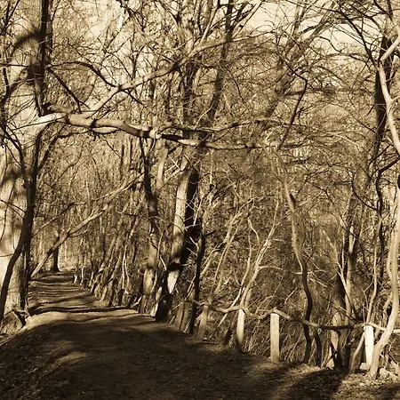 Ferienhaus Caputh كابيوث