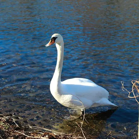 Ferienhaus Caputh Σπίτι διακοπών Caputh