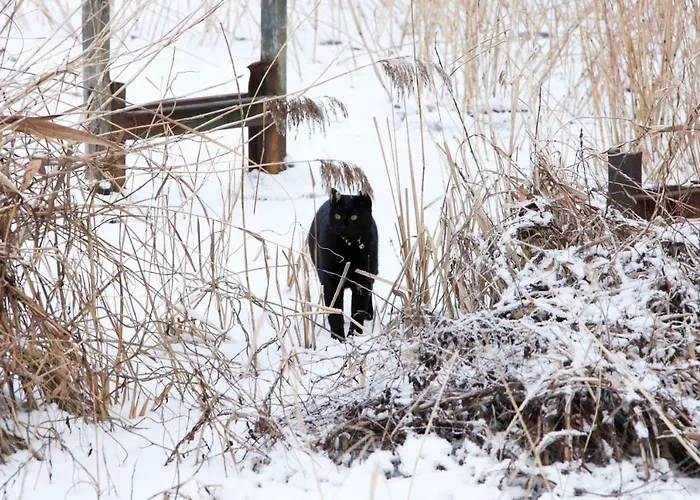 Semesterbostad Ferienhaus Caputh Caputh