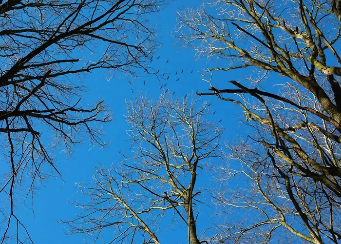 Tatil Evi Ferienhaus Caputh