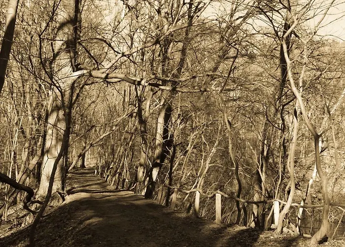 Ferienhaus Caputh Caputh