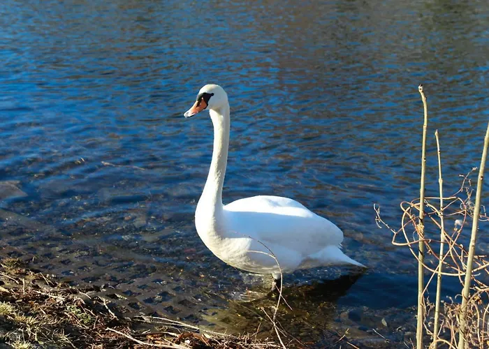 Ferienhaus Caputh Semesterbostad Caputh