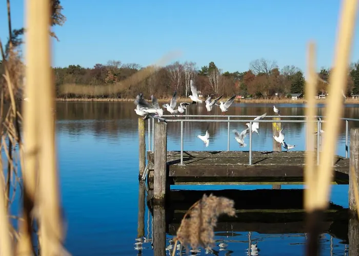 Ferienhaus Caputh * Caputh